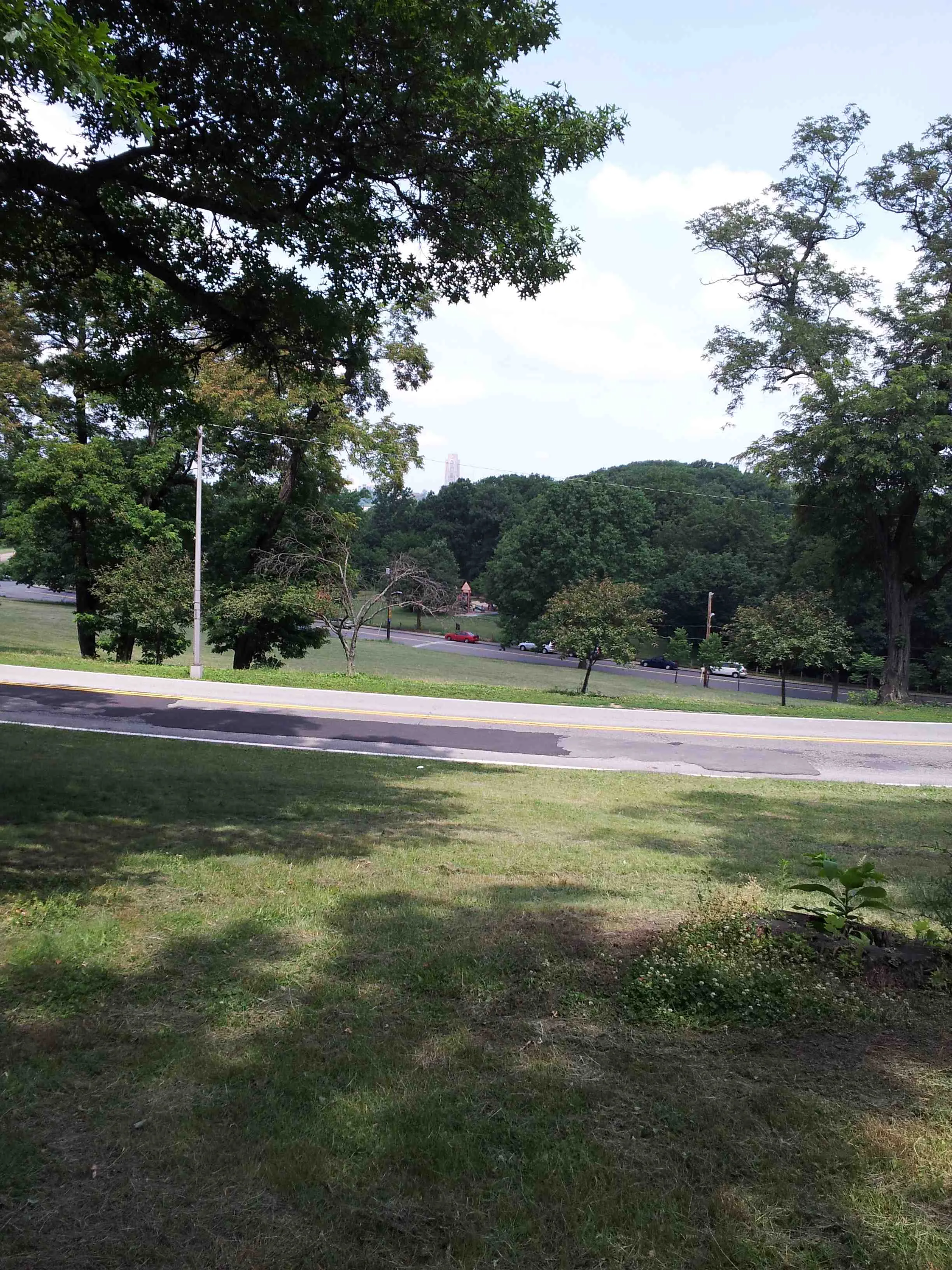 Grass at Hobart Street and Beacon Street