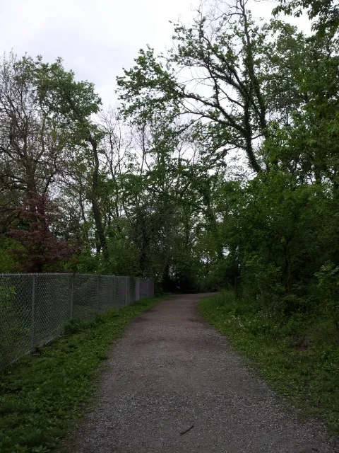Cloudy day drizzling rain in Frick Park