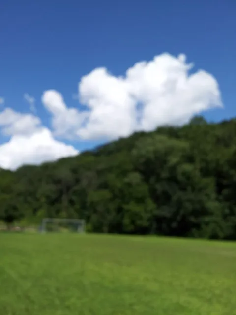 View from Fern Hollow