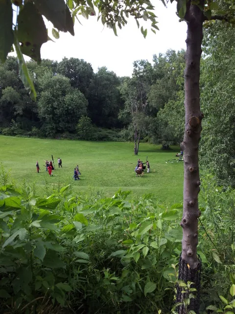 Play fighting in the meadow