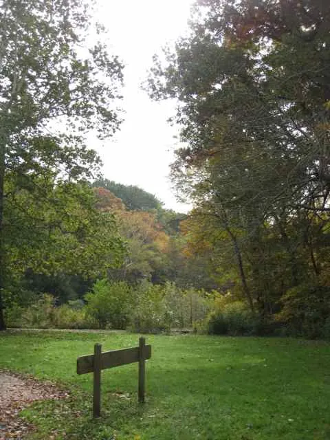 Frick Park: on Falls Ravine Trail at Fern Hollow