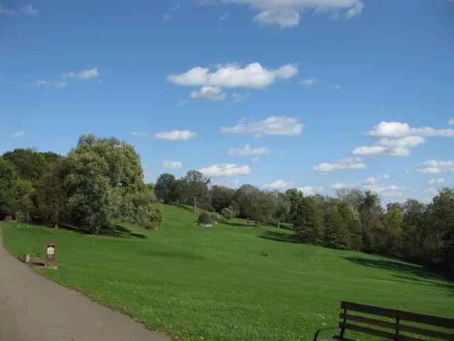 Frick Park meadow
