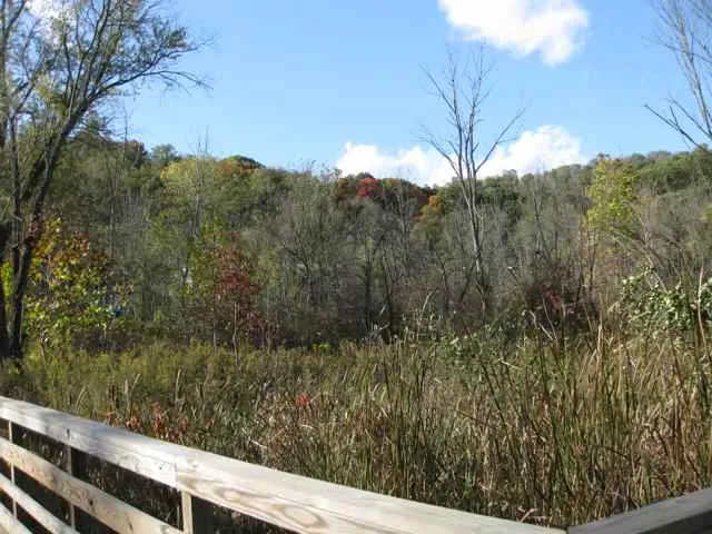 Frick Park Nine Mile Run Trail near end