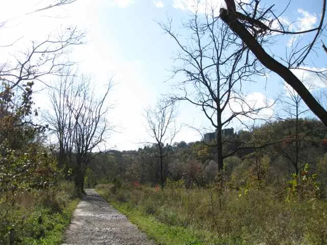 Frick Park Nine Mile Run Trail
