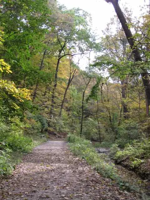Frick Park: on Falls Ravine Trail down