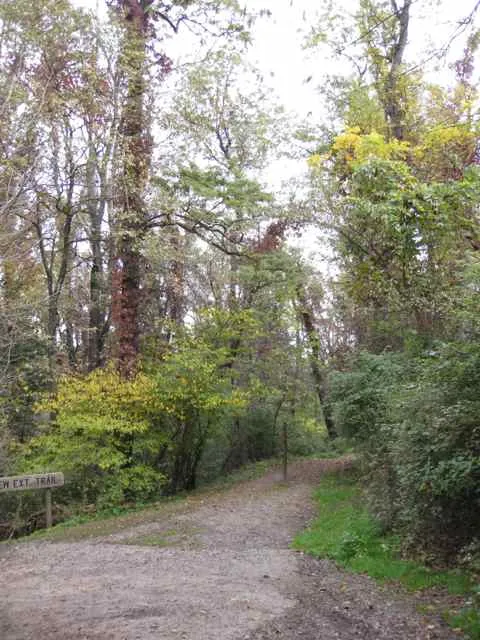 Frick Park: off Riverview Ext Trail