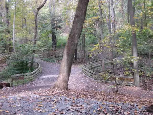 Frick Park: to Falls Ravine Trail down