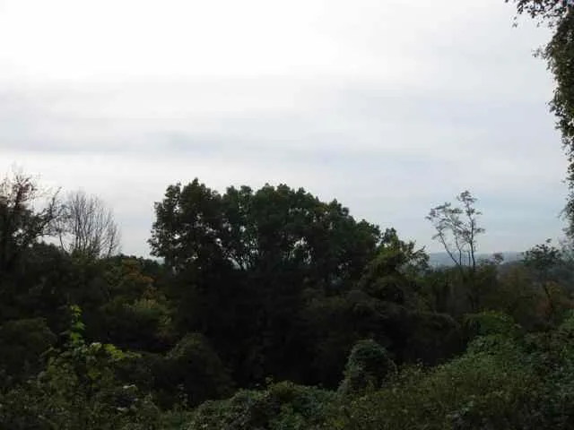 Frick Park: view from Lower Riverview Trail