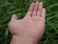 Franklin Chen holding infinity in the palm of his hand