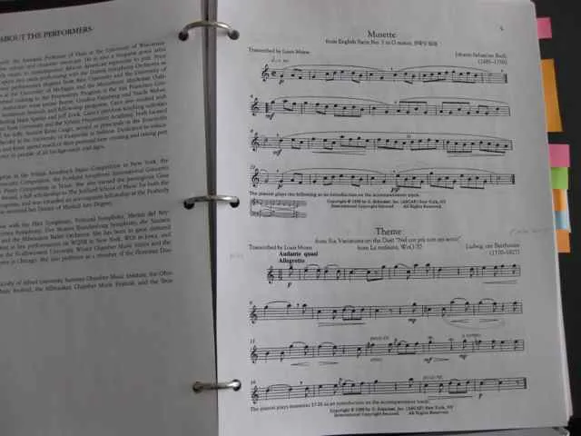 Moyse Collection of Easy Flute Classics