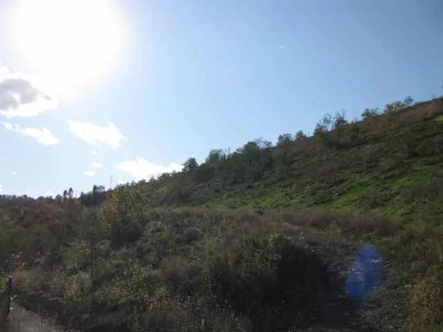 Off Nine Mile Run trail up to Summerset