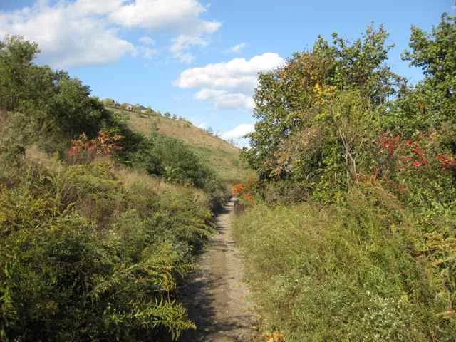 Nine Mile Run Trail heading back to Frick Park