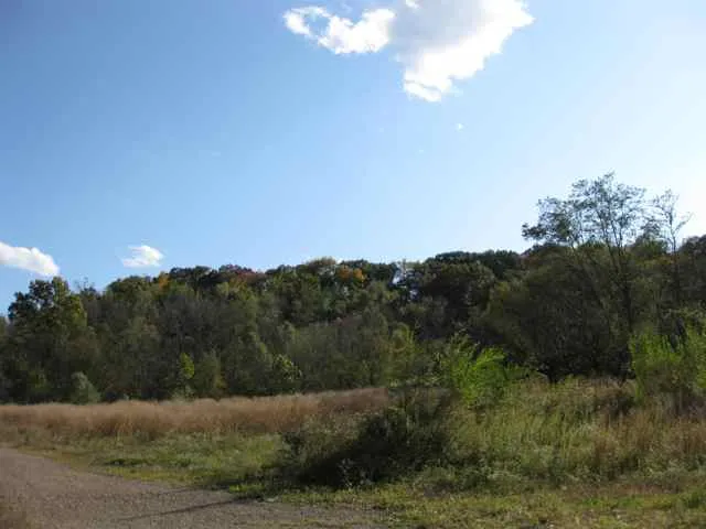 Nine Mile Run Trail beyond Commercial St