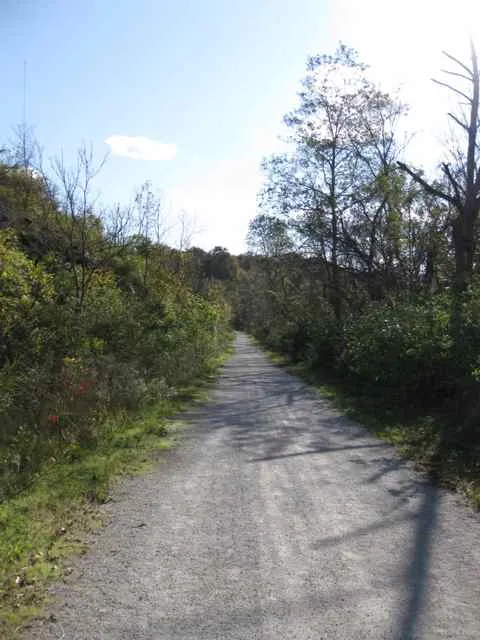 Nine Mile Run Trail long stretch
