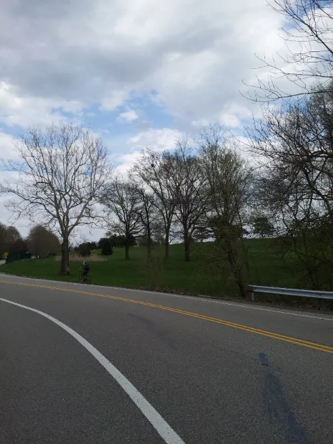 Walking on Schenley Drive during CMU Carnival week 2013