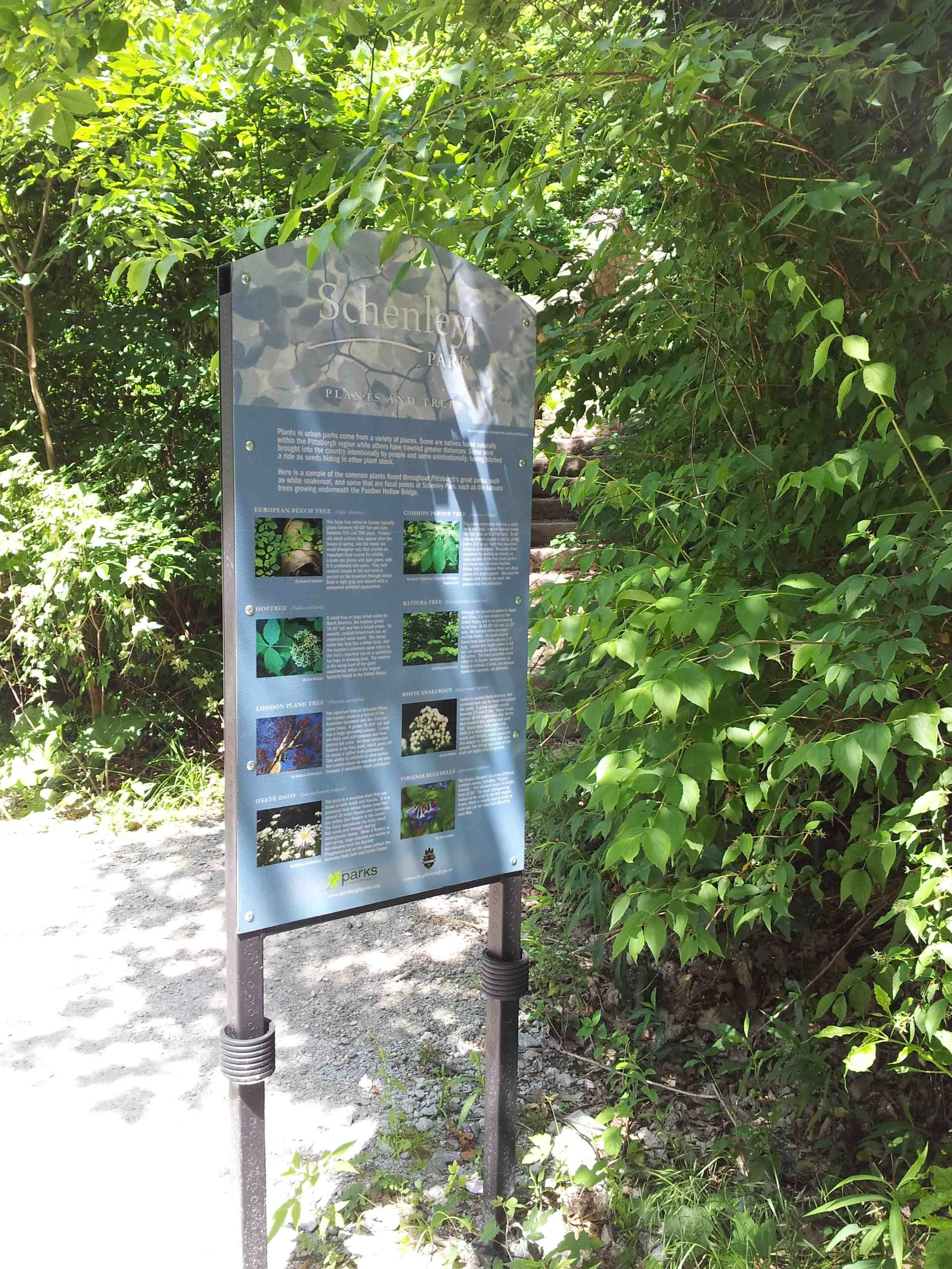 Schenley Park sign at base of steps