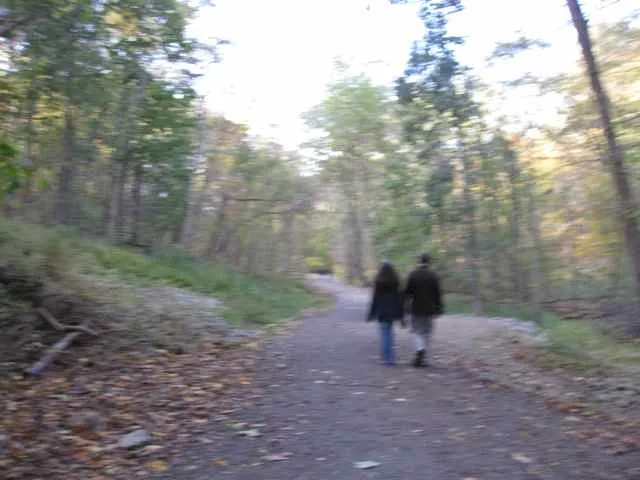 Tranquil Trail with a couple walking together