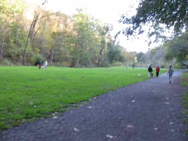 Tranquil Trail meadow with dogs