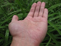 Franklin Chen holding infinity in the palm of his hand