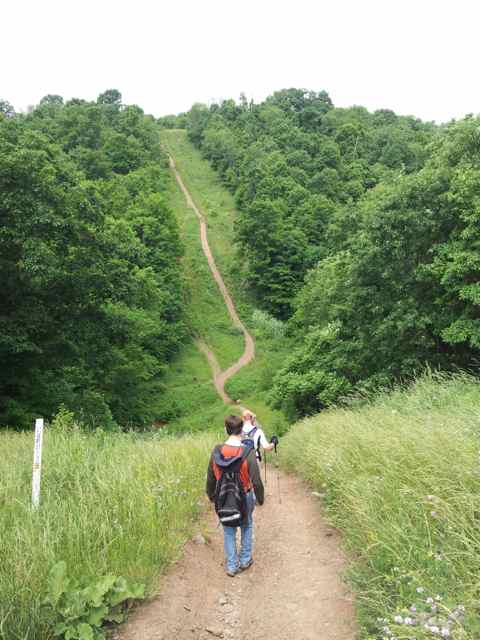 A totally exhausting Rachel Carson Trail Challenge goal training hike