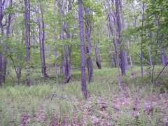 P1010011.JPG