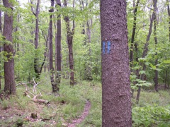 P1010016.JPG