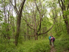 P1010021.JPG