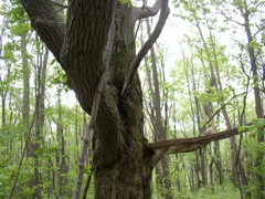 P1010022.JPG