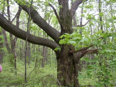 P1010023.JPG