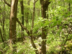 P1010027.JPG