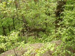 P1010030.JPG