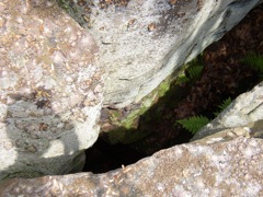 P1010031.JPG
